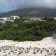 Kolonia Pingwinów na Boulders Beach