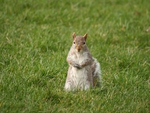 img_6492