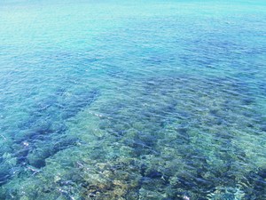 Playa Dorada