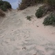 różowy piasek na wydmach Elafonisi