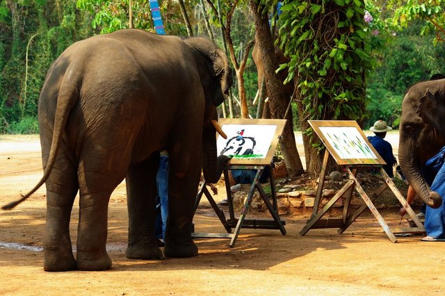 Elephant-ART