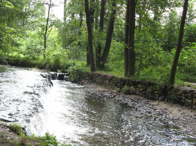 Rezerwat Szumy nad Tanwią