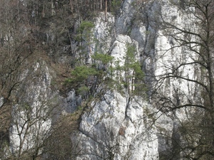 Ojcowski PN
