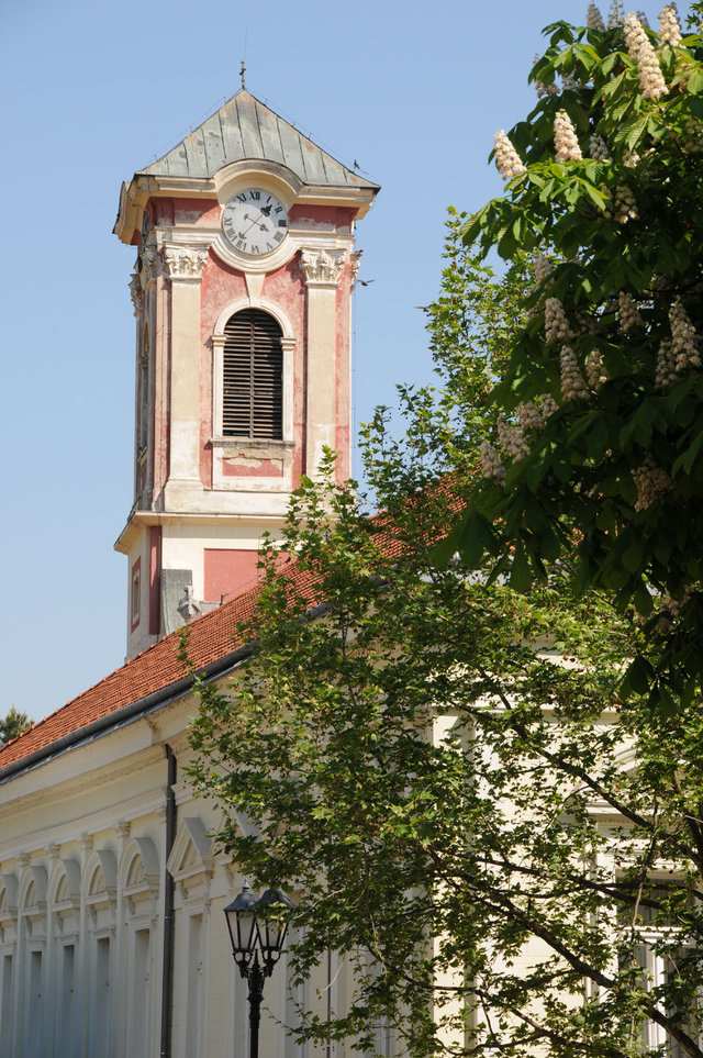 Dsc 0397
