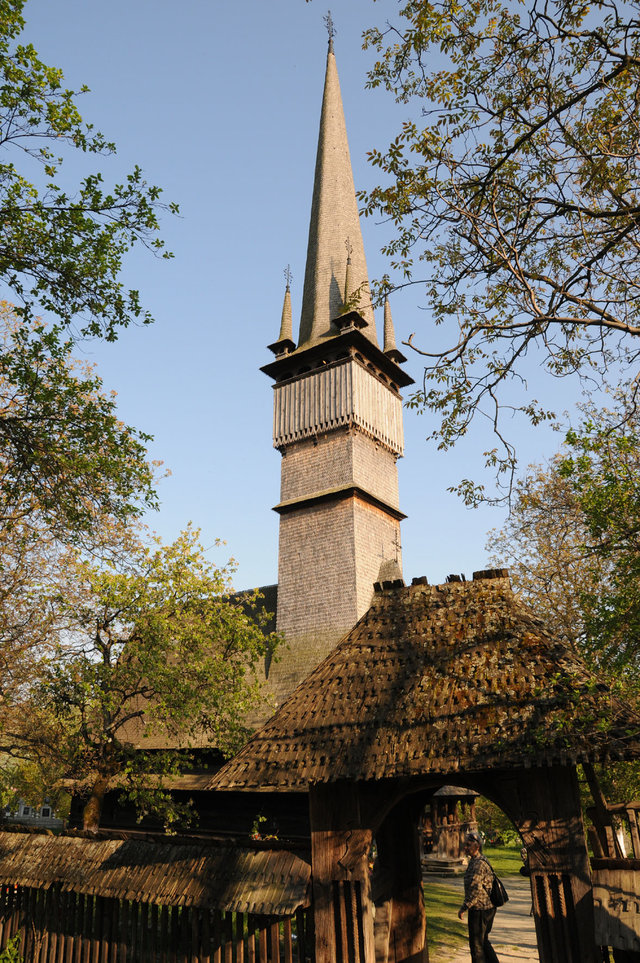 Dsc 0444