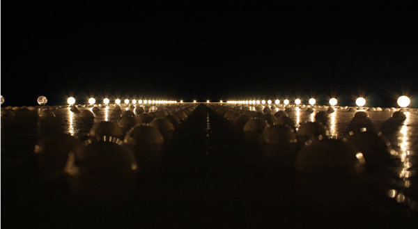 Chelsea bridge