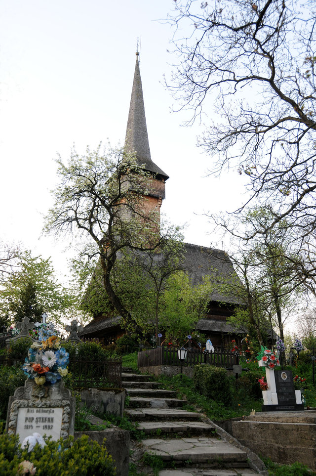 Dsc 0486