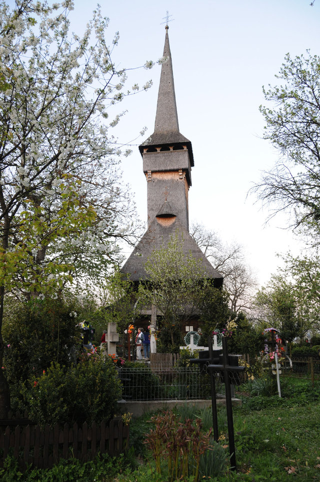 Dsc 0506