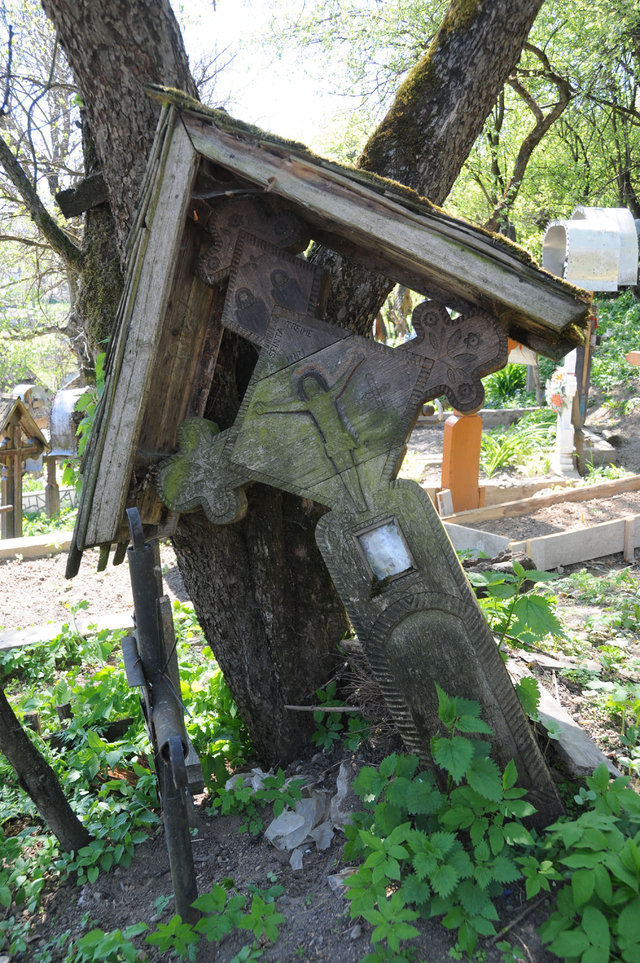 Dsc 0589