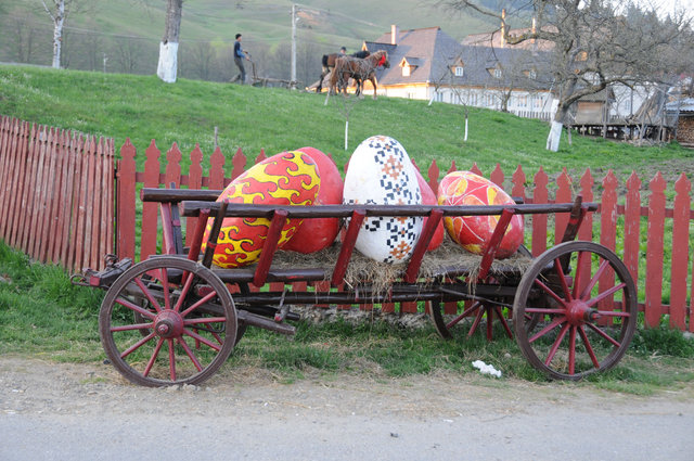 Dsc 0696
