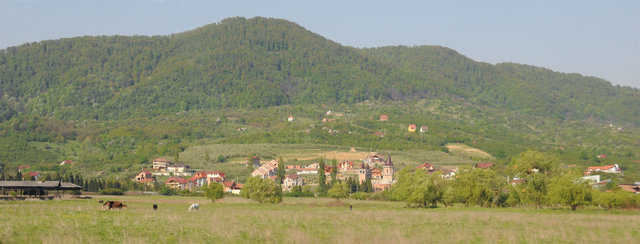 Dsc 0429