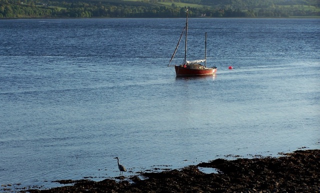 Caledonial Canal  od strony North Kessock