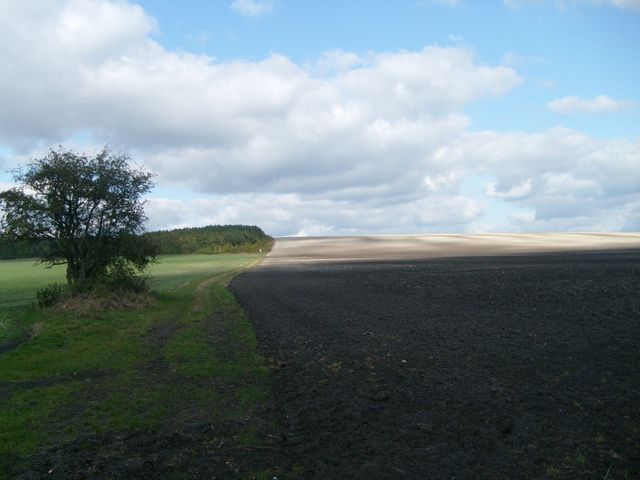 Okolice Bełżca