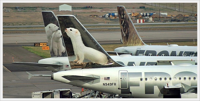 Denver 02