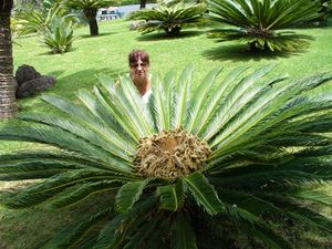 Madeira