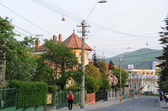 Dsc 1063