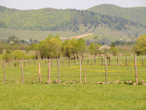 Dsc 0978