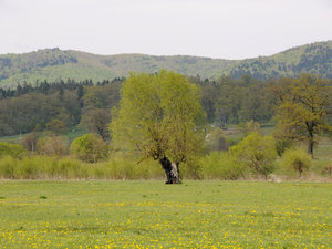 Dsc 0980