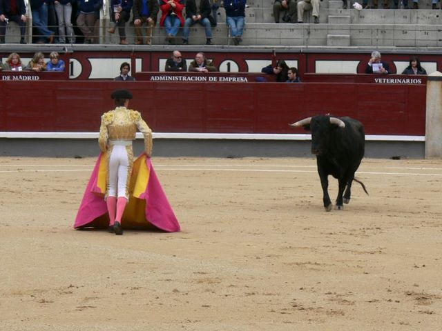 Plaza de Toros