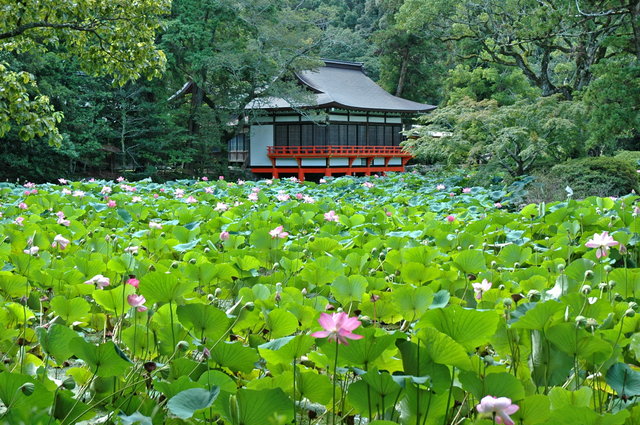 Kunisaki