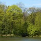 Mostek w cieniu drzew w Parku Skaryszewskim