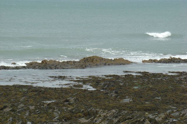 Dsc06963