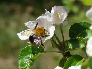 Dsc02070