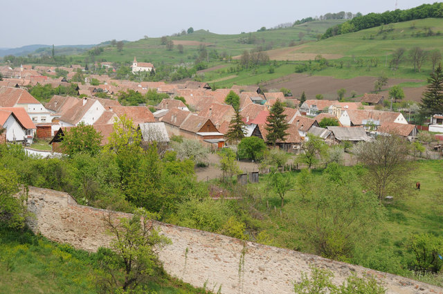 Dsc 1219
