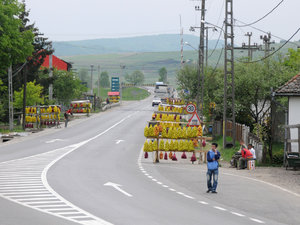 Dsc 1169