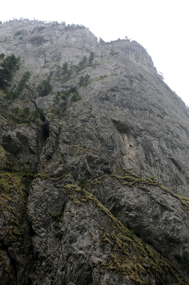Dsc 1116