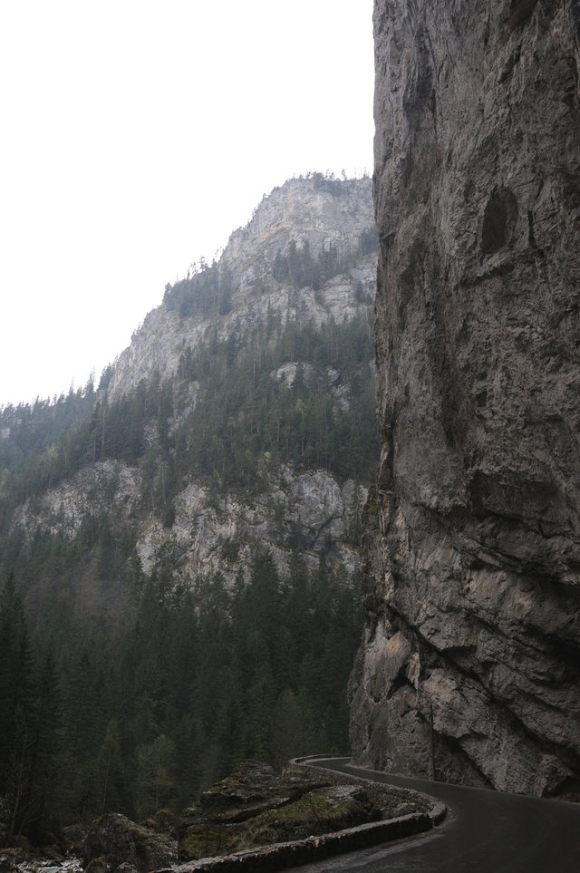 Dsc 1118