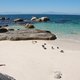 Boulders Beach - pingwiny