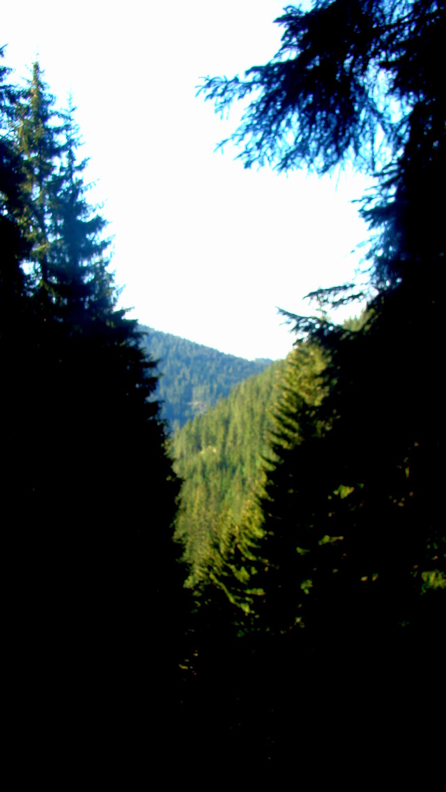 Zakopane
