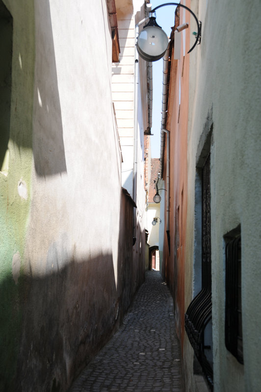 Dsc 1402