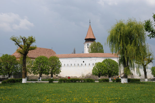 Dsc 1456