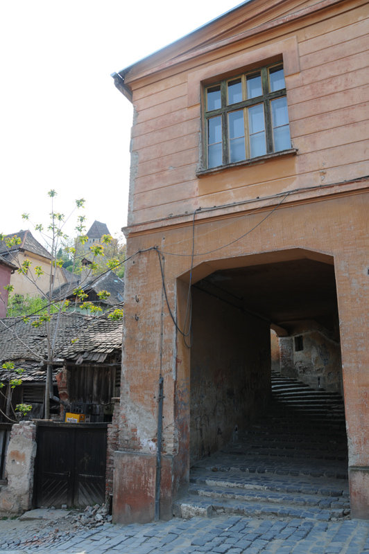 Dsc 1264