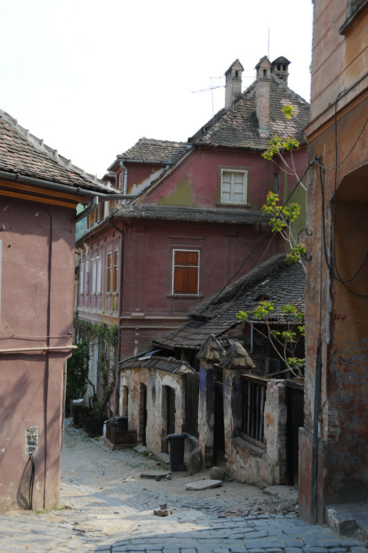 Dsc 1265