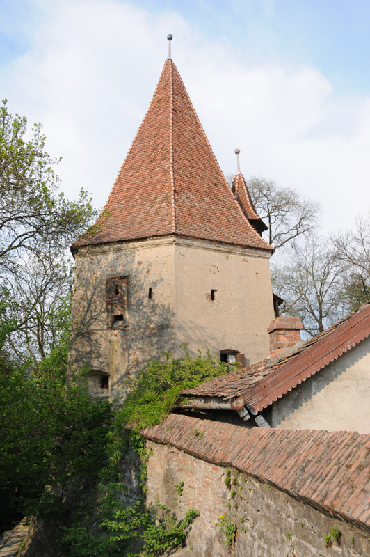 Dsc 1306