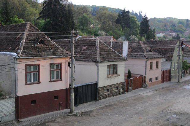 Dsc 1338