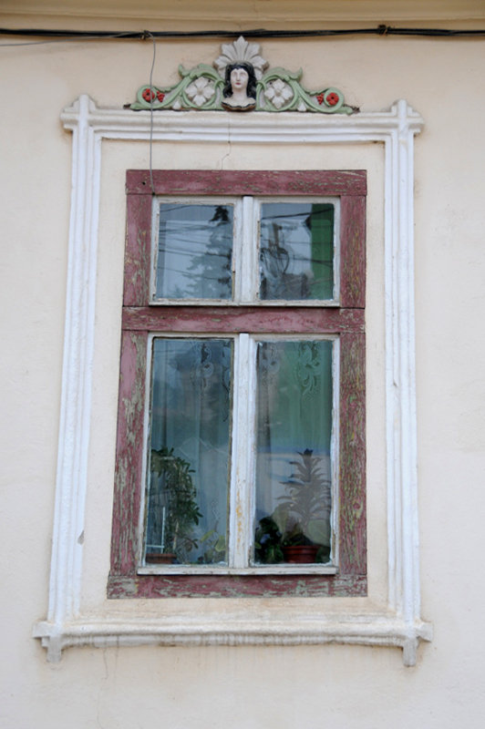 Dsc 1343