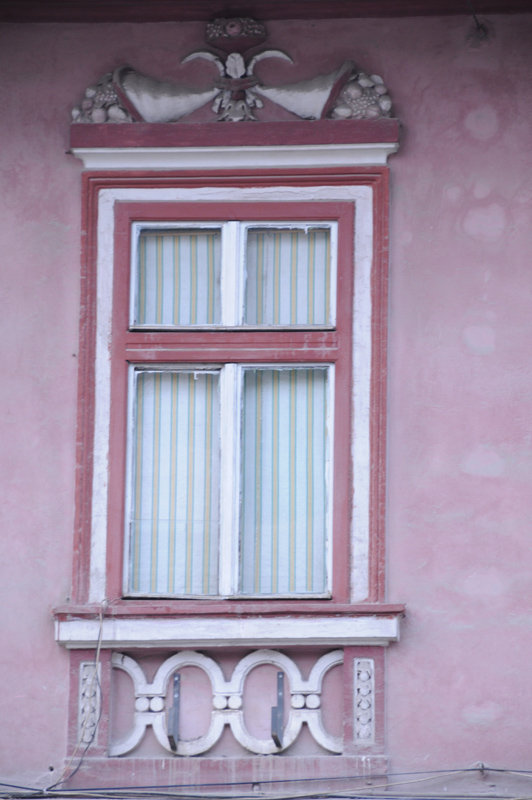 Dsc 1354