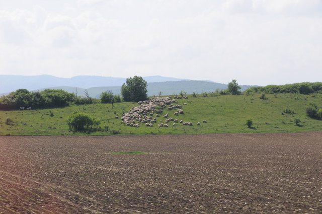 Dsc 1927