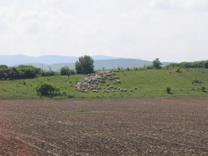 Dsc 1927