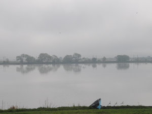 Dsc 1377