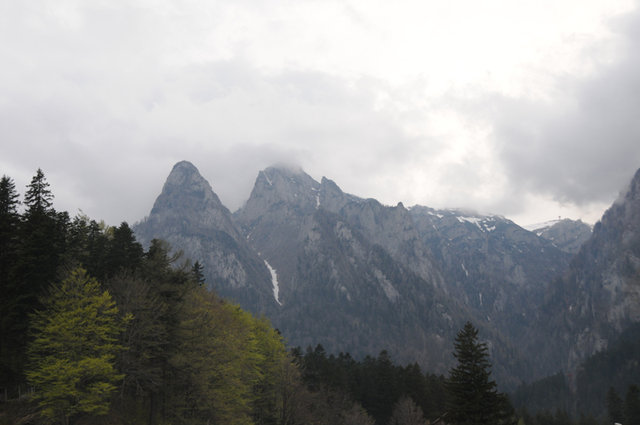 Dsc 1497