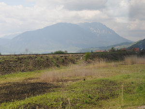 Dsc 1670