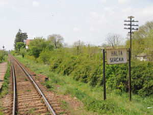Dsc 1674