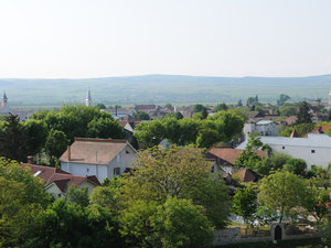 Dsc 1900