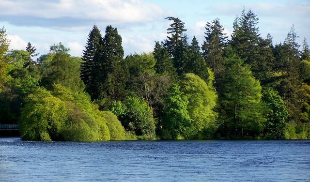 widok na park w Inverness