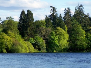 widok na park w Inverness